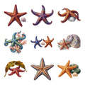 Starfish and Brittle Stars — Complete assortment