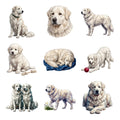 Great Pyrenees — Complete assortment