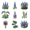 Lupine Mountainsides — Complete assortment