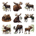 Moose Northern Woods — Complete assortment