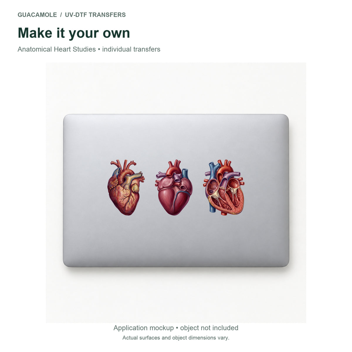Anatomical Heart Studies — Three designs on a laptop