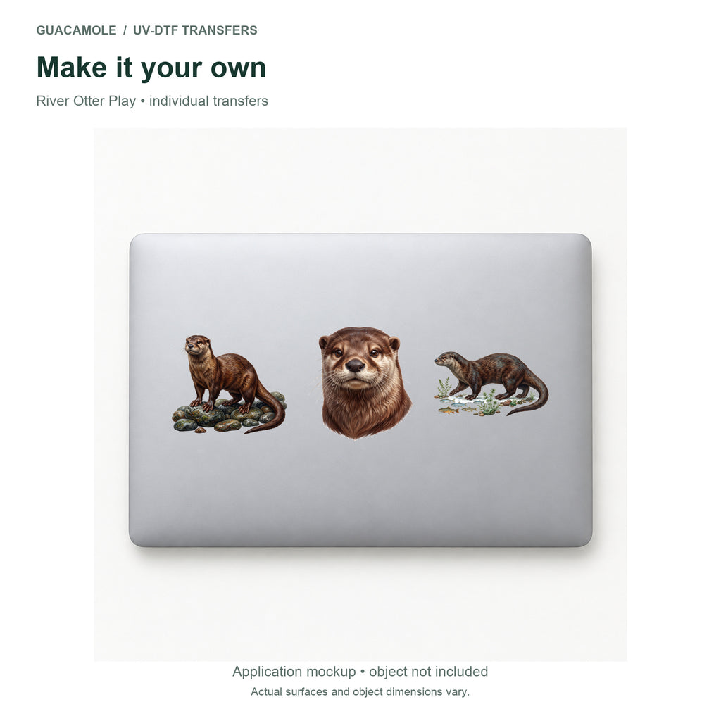 River Otter Play — Three designs on a laptop