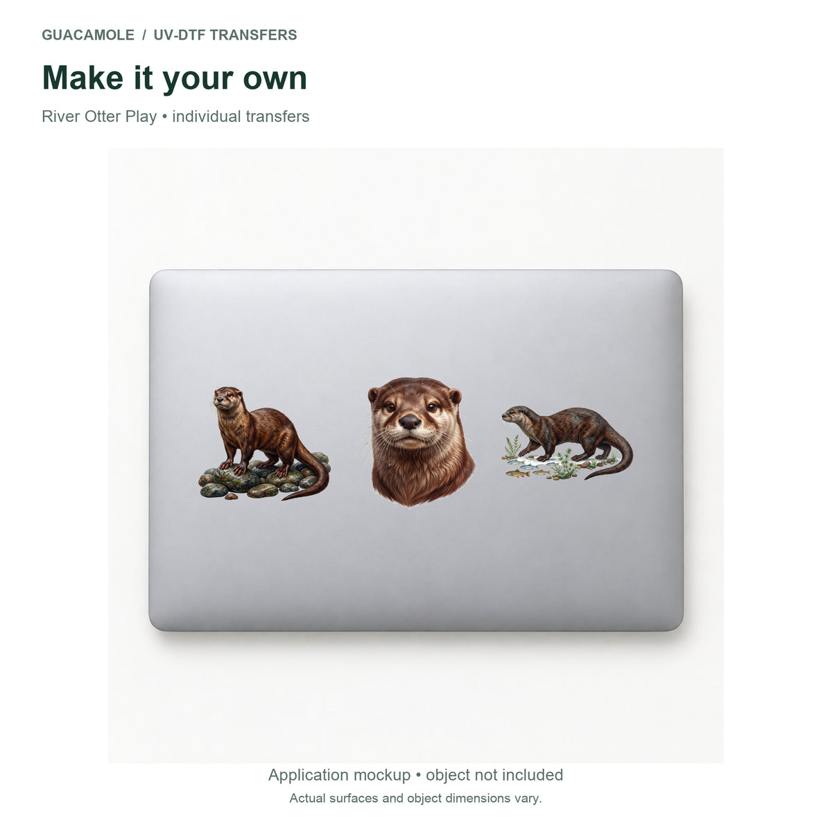River Otter Play — Three designs on a laptop