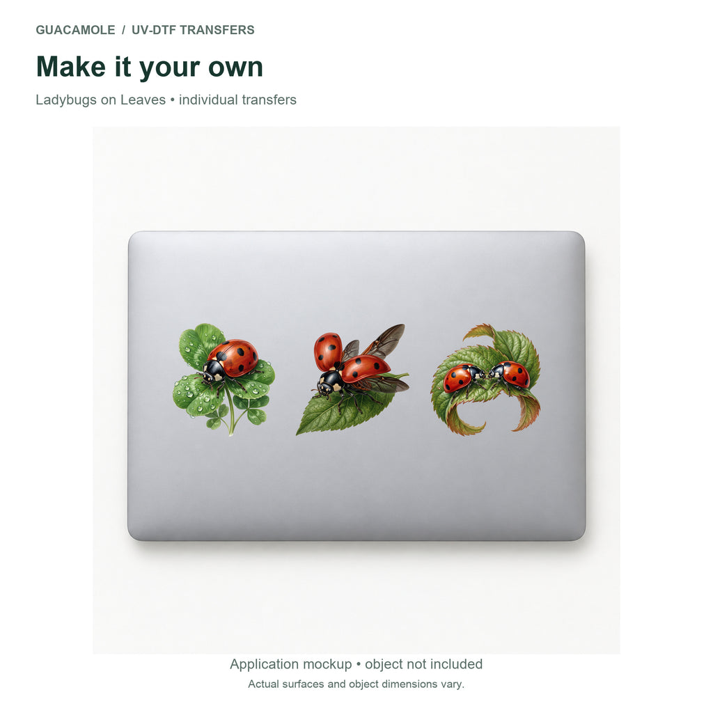 Ladybugs on Leaves — Three designs on a laptop