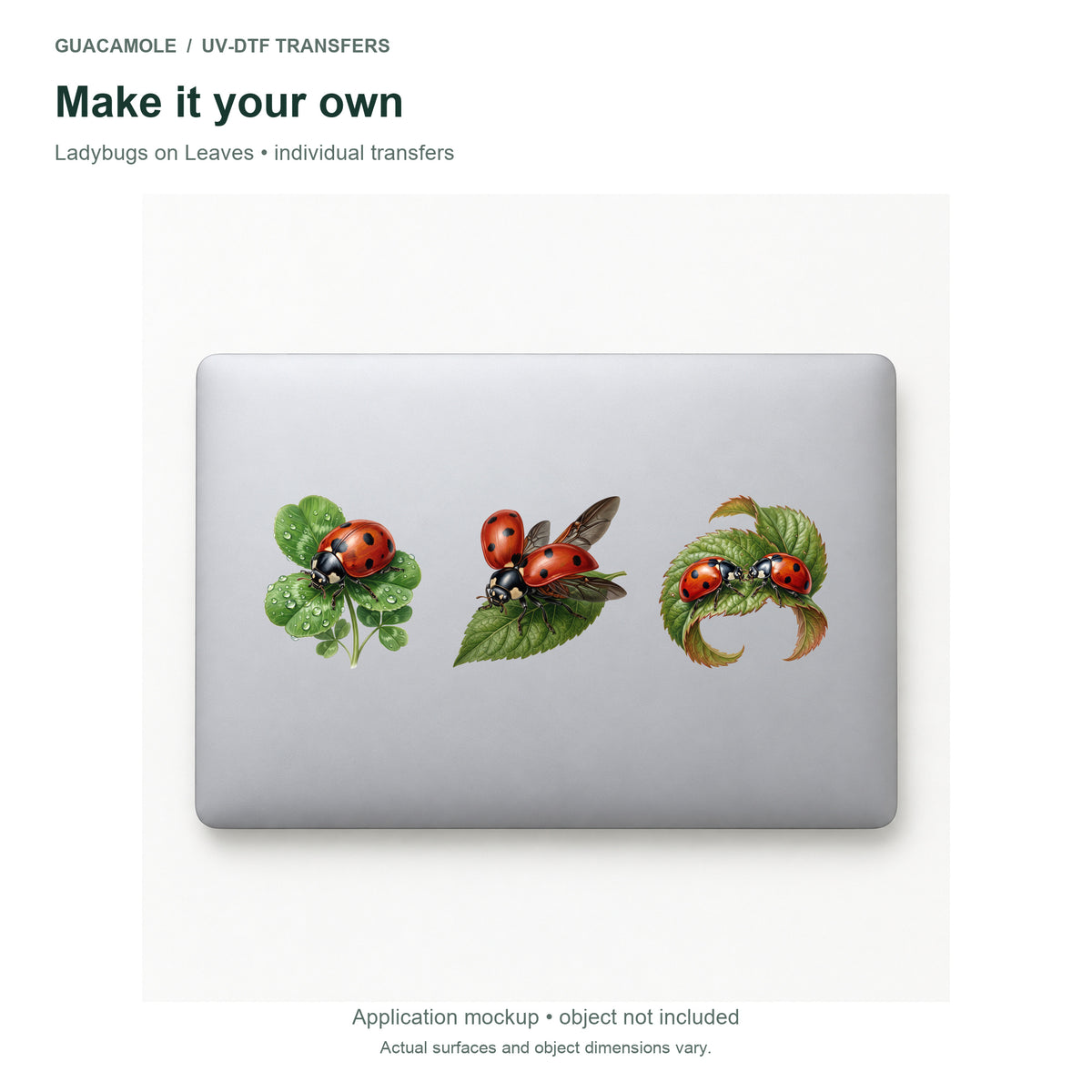 Ladybugs on Leaves — Three designs on a laptop