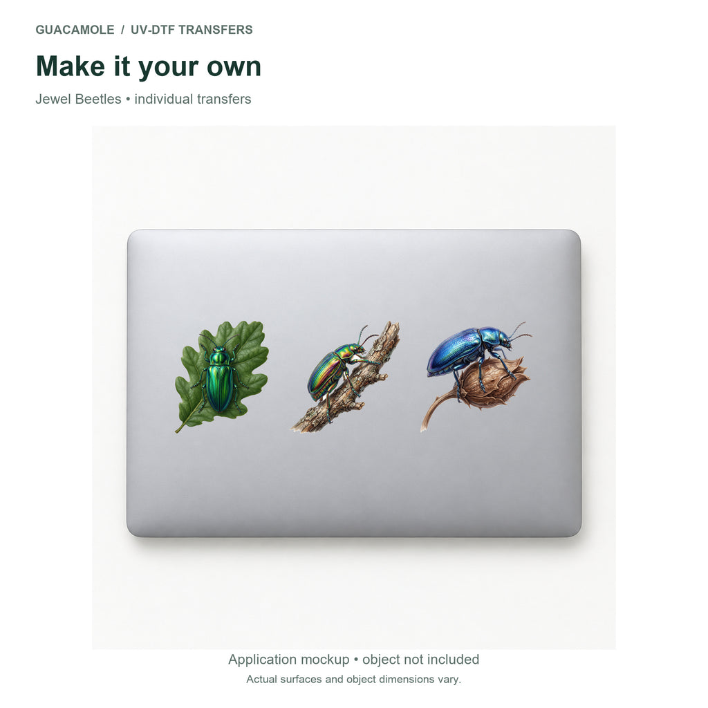 Jewel Beetles — Three designs on a laptop