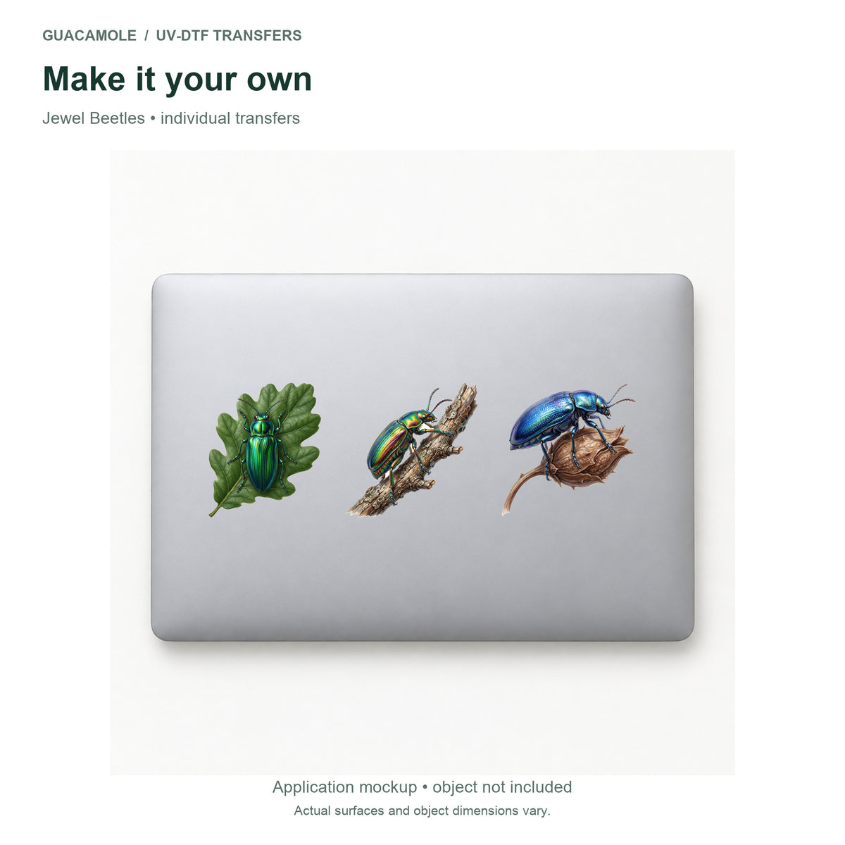 Jewel Beetles — Three designs on a laptop