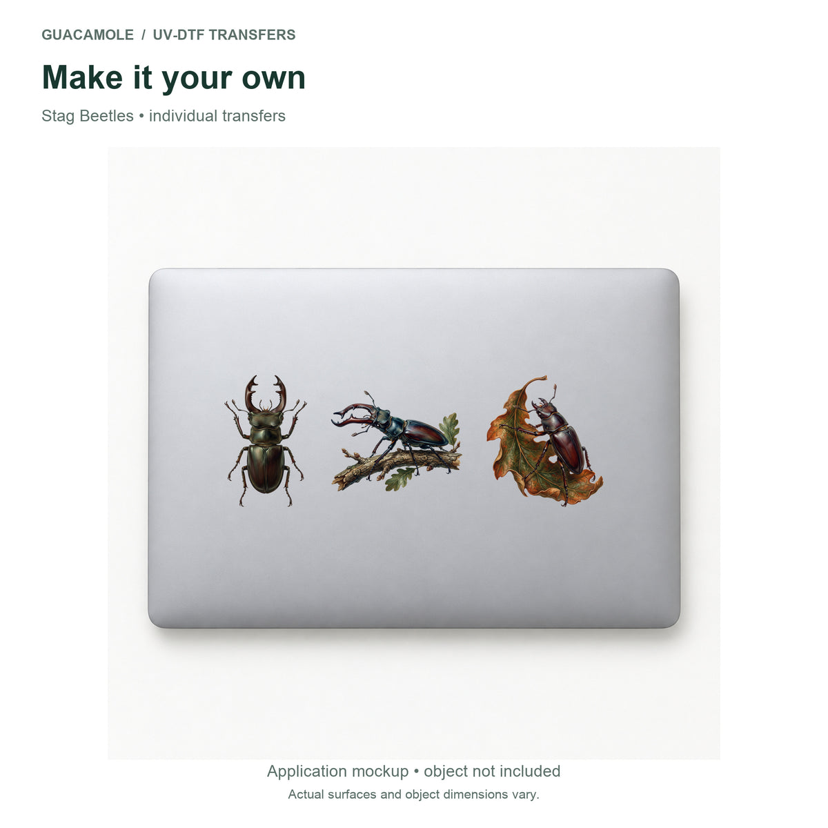 Stag Beetles — Three designs on a laptop
