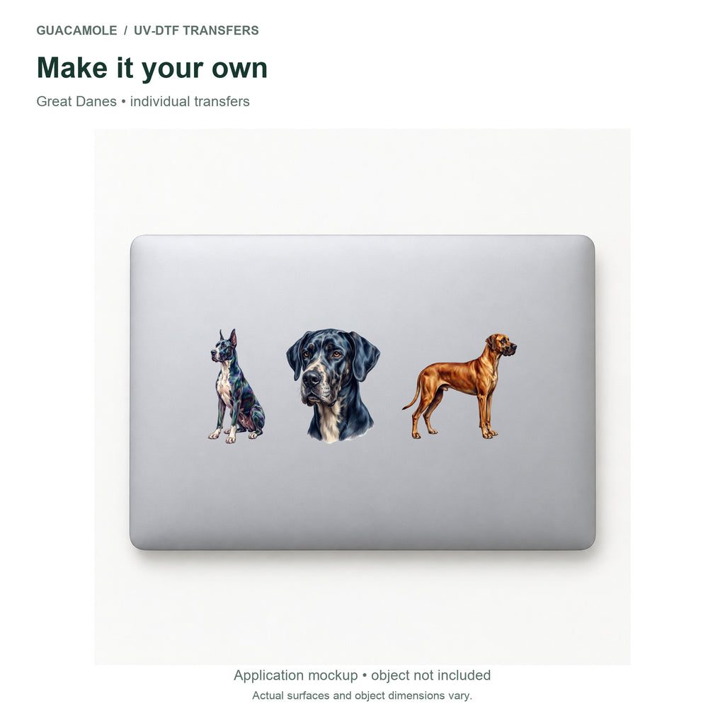 Great Danes — Three designs on a laptop