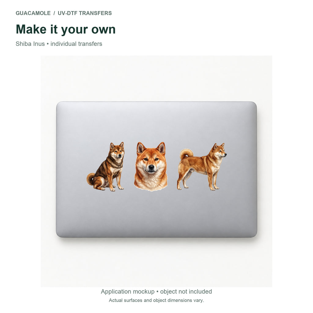 Shiba Inus — Three designs on a laptop