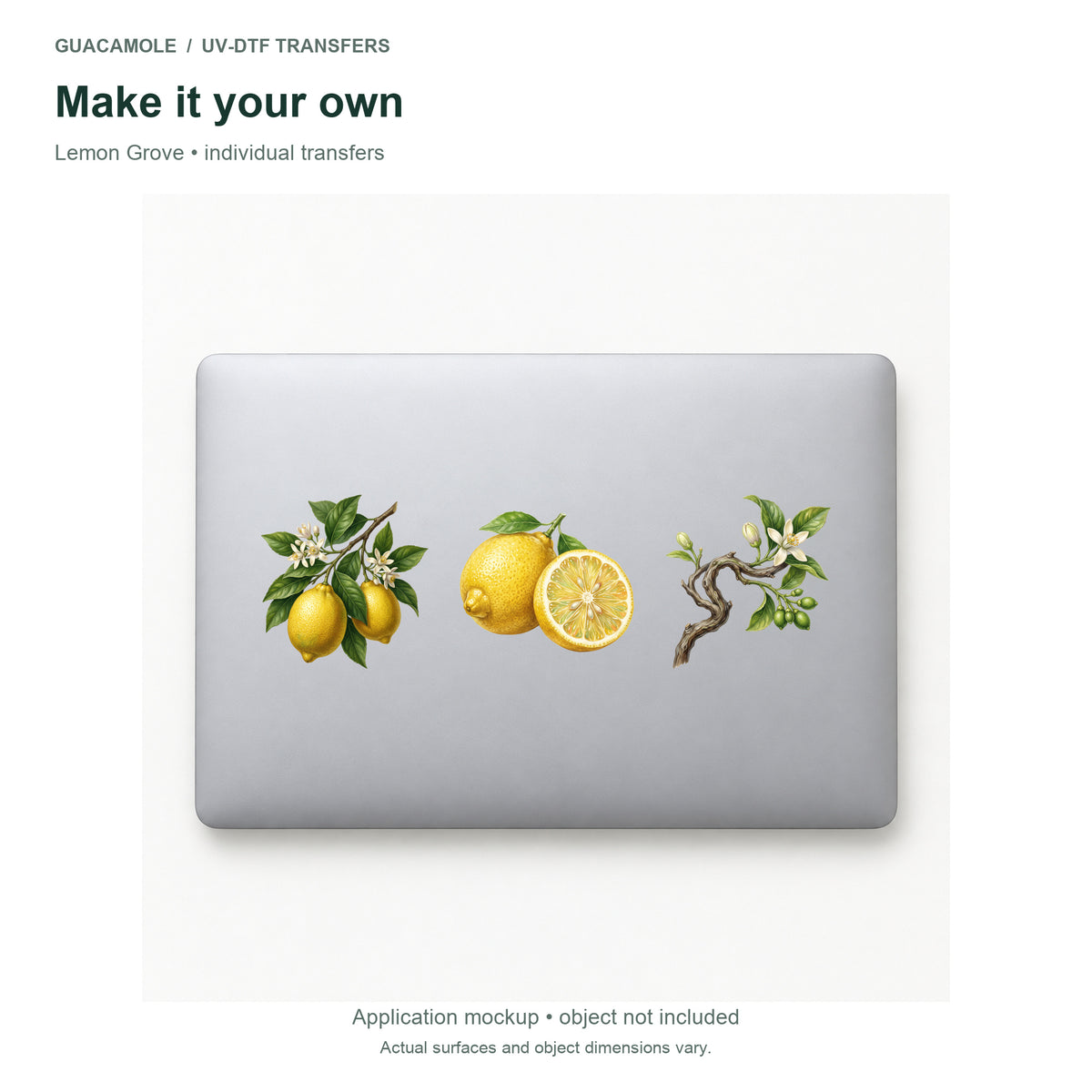 Lemon Grove — Three designs on a laptop