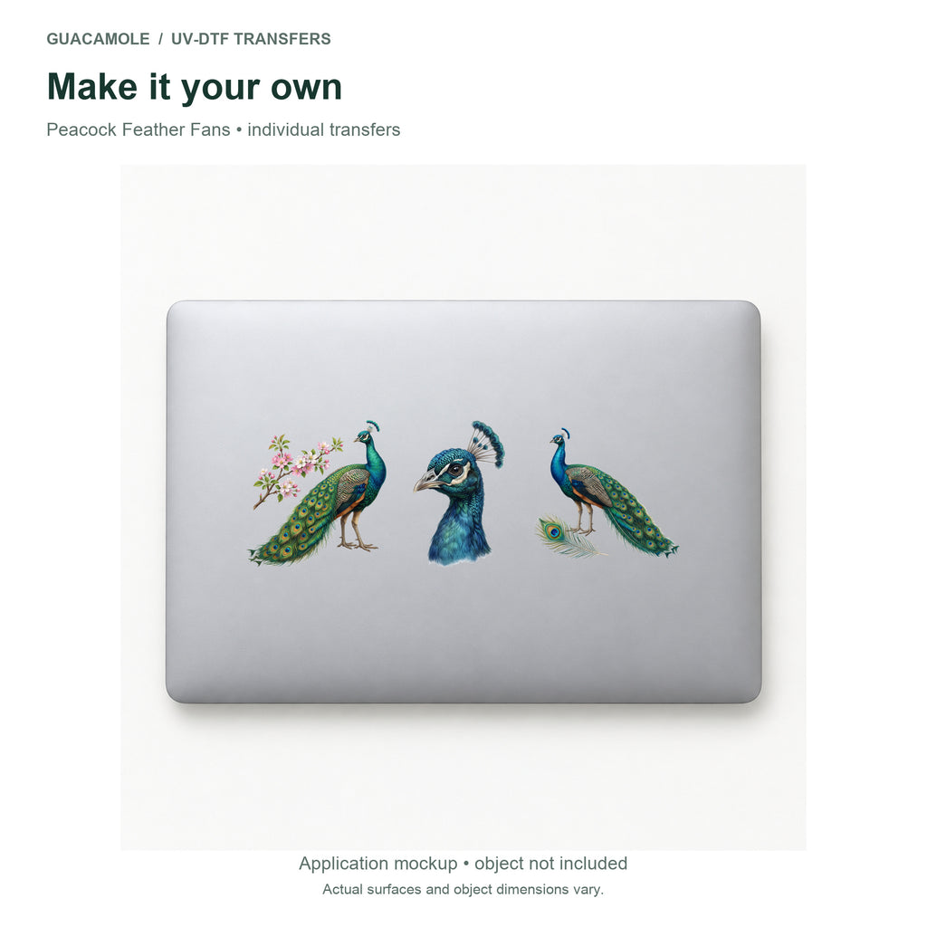 Peacock Feather Fans — Three designs on a laptop