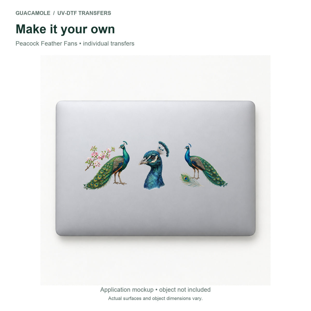 Peacock Feather Fans — Three designs on a laptop