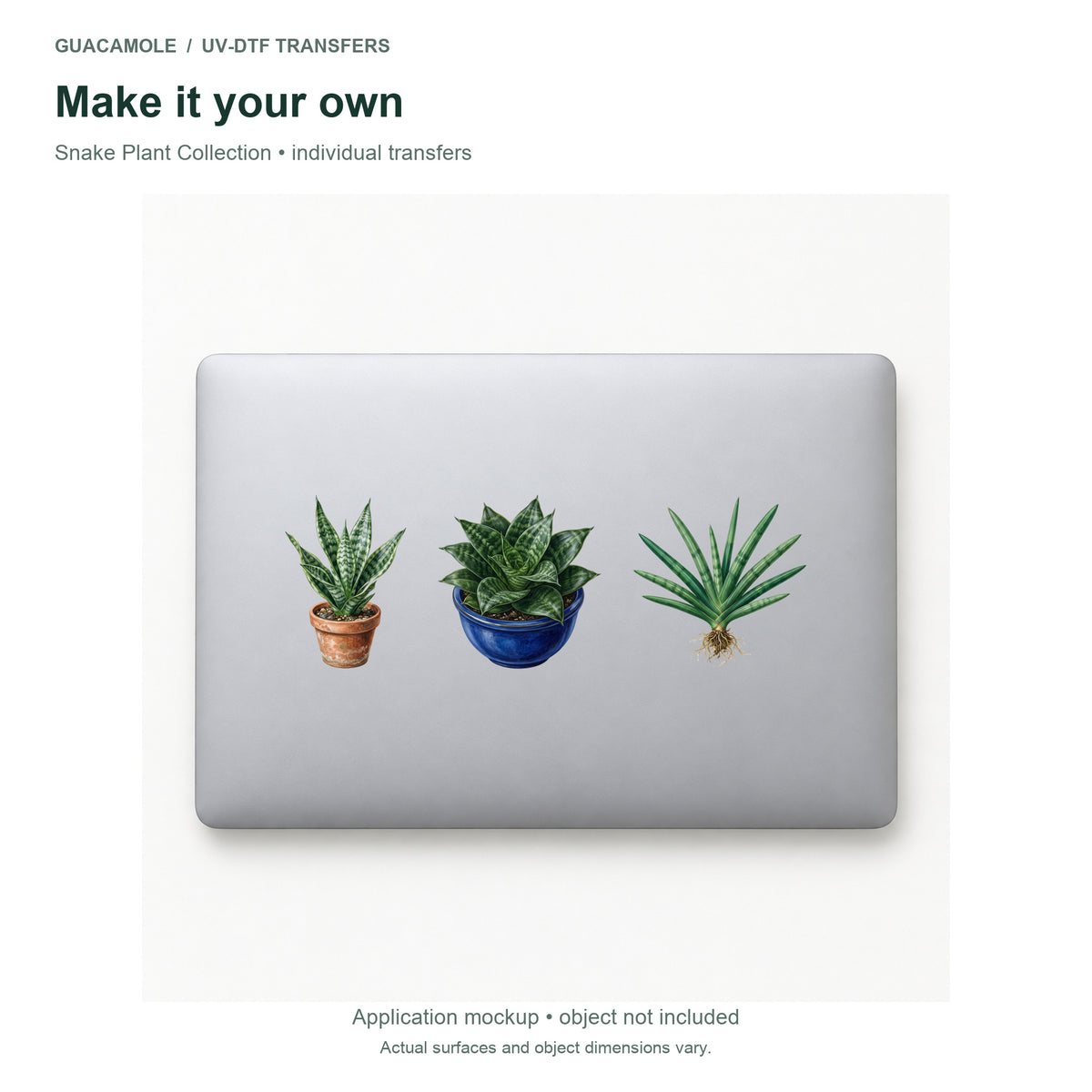 Snake Plant Collection — Three designs on a laptop