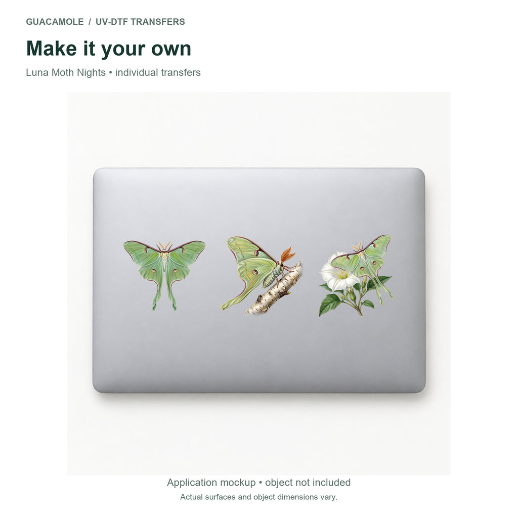 Luna Moth Nights — Three designs on a laptop