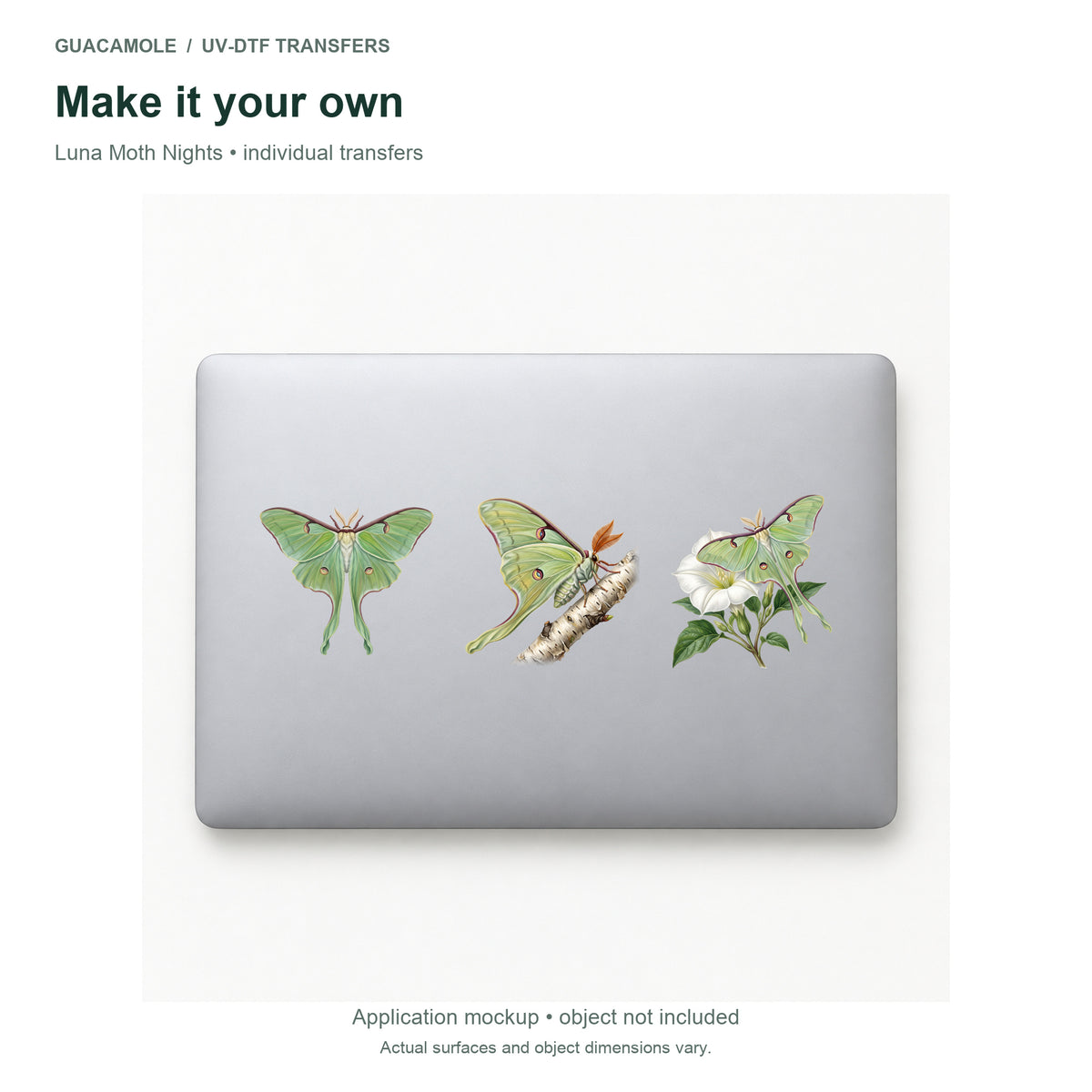 Luna Moth Nights — Three designs on a laptop