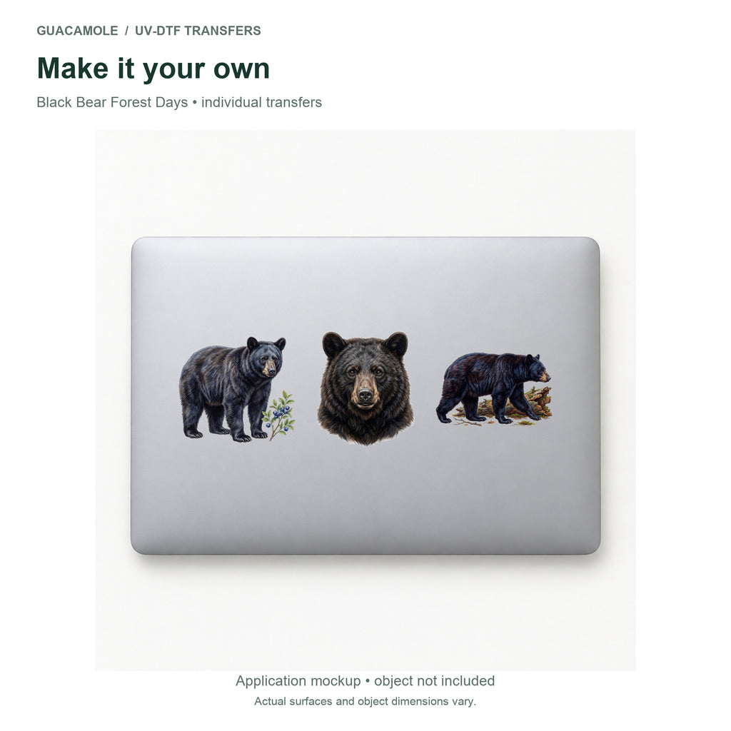Black Bear Forest Days — Three designs on a laptop