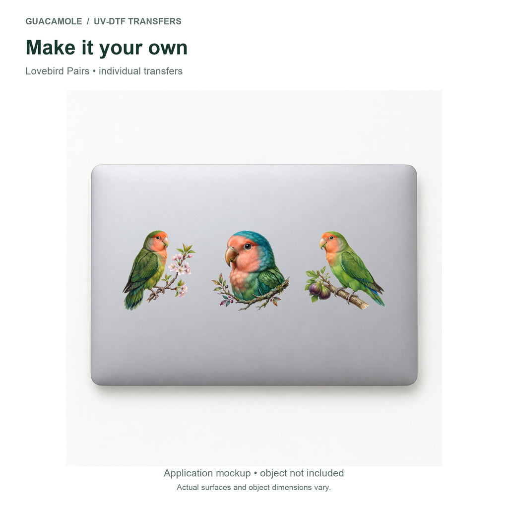 Lovebird Pairs — Three designs on a laptop