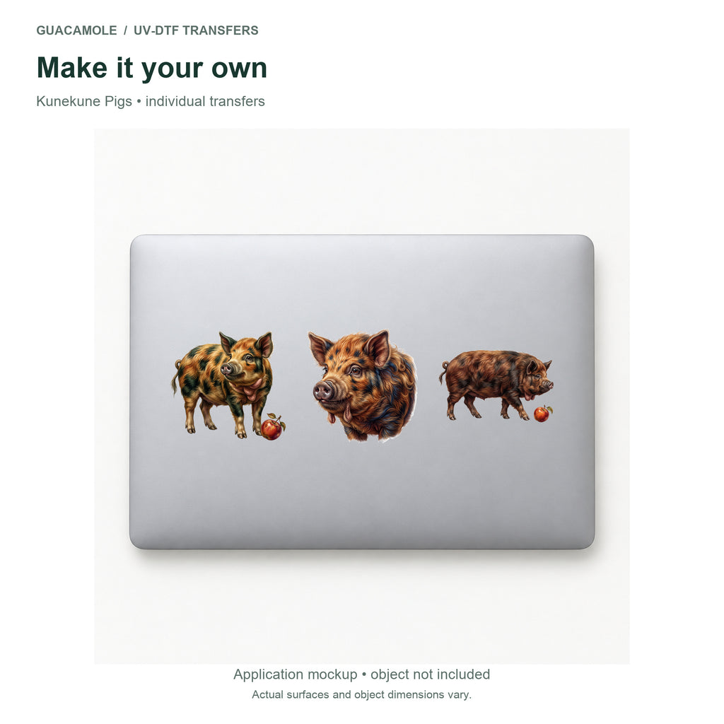 Kunekune Pigs — Three designs on a laptop