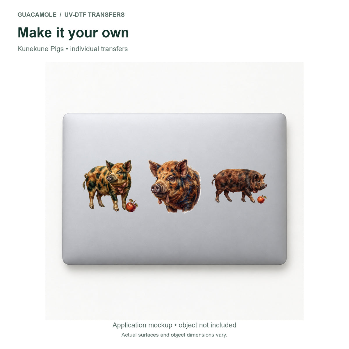 Kunekune Pigs — Three designs on a laptop