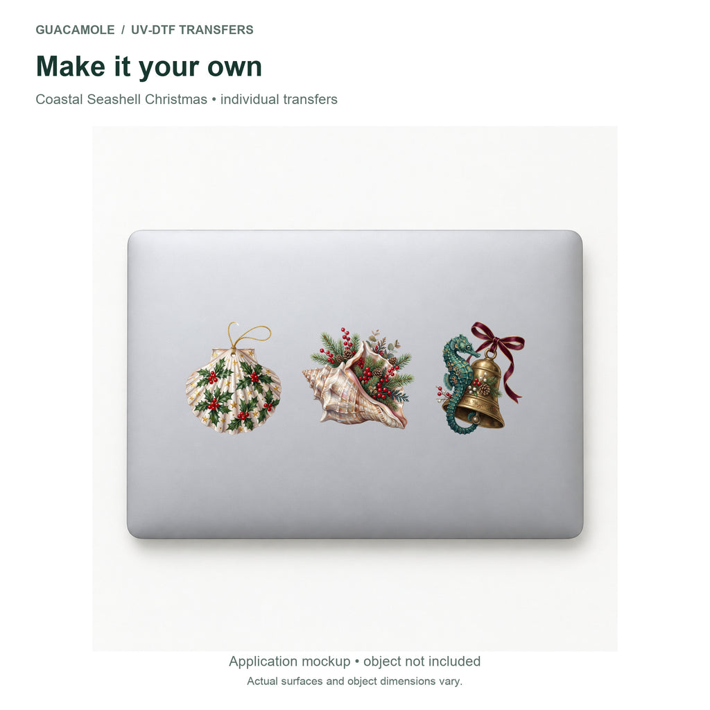 Coastal Seashell Christmas — Three designs on a laptop