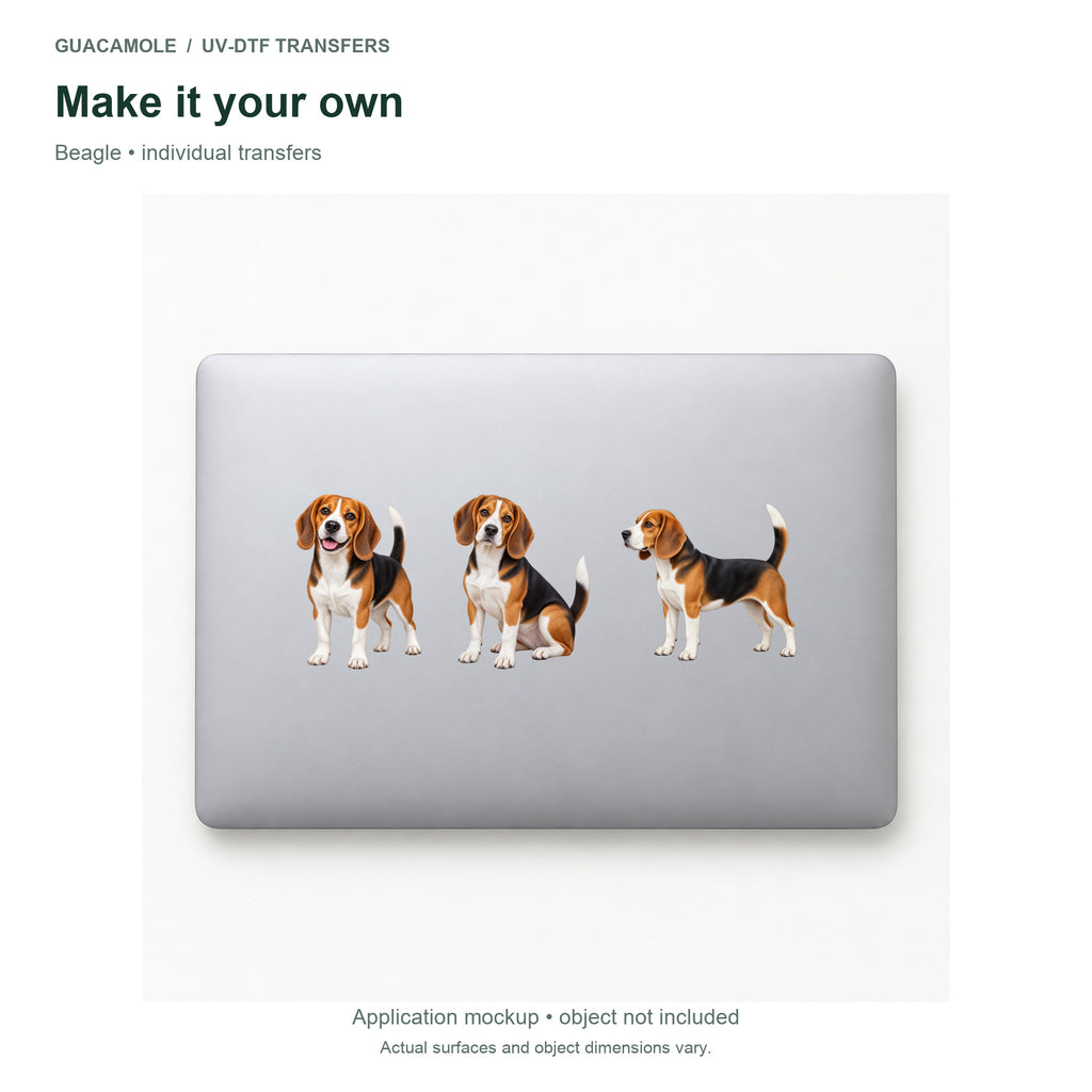 Beagle — Three designs on a laptop