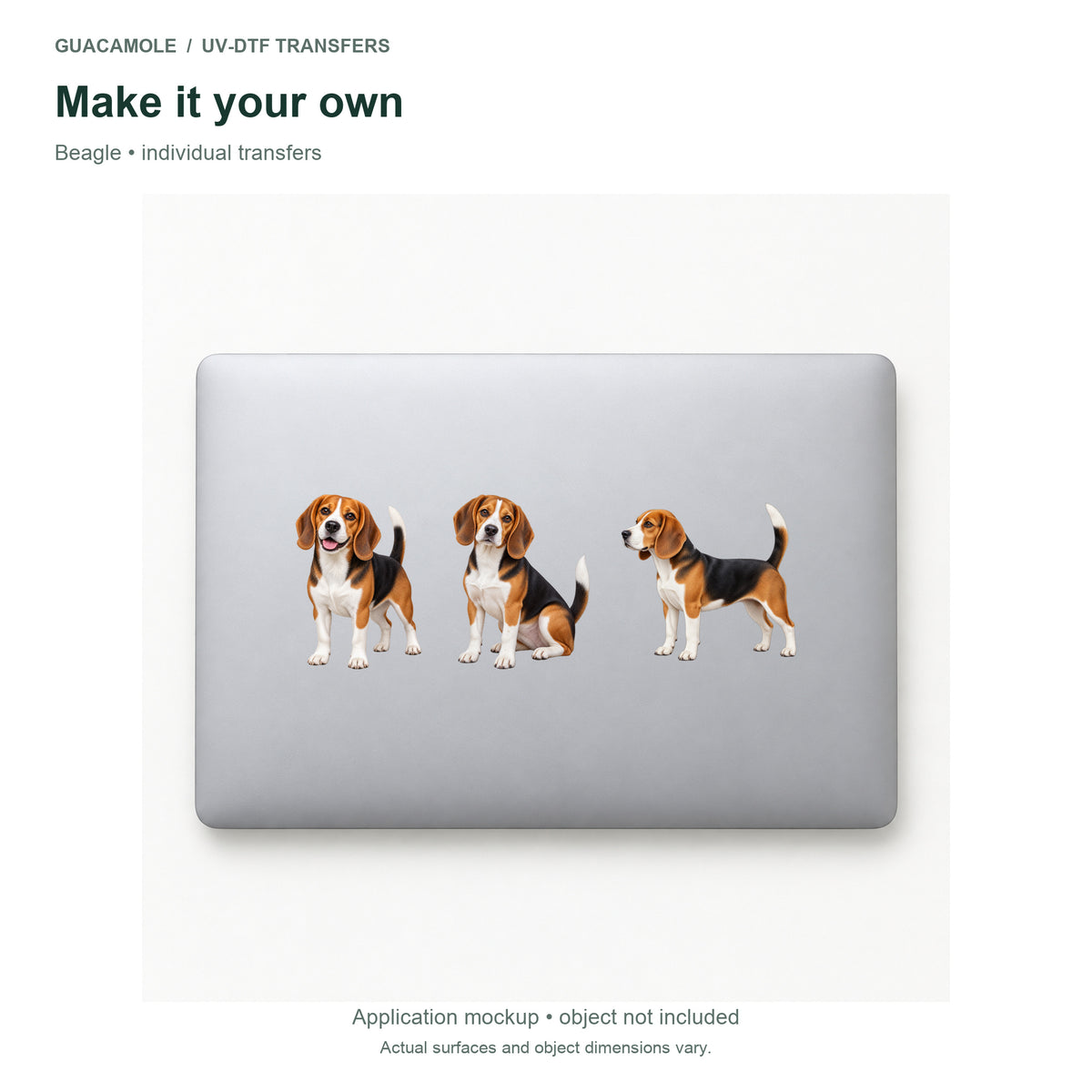 Beagle — Three designs on a laptop