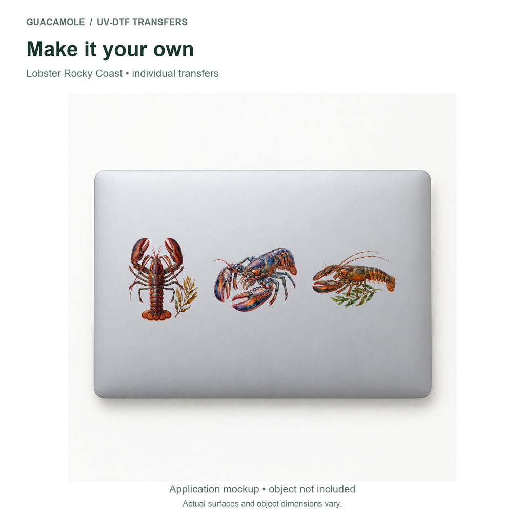 Lobster Rocky Coast — Three designs on a laptop