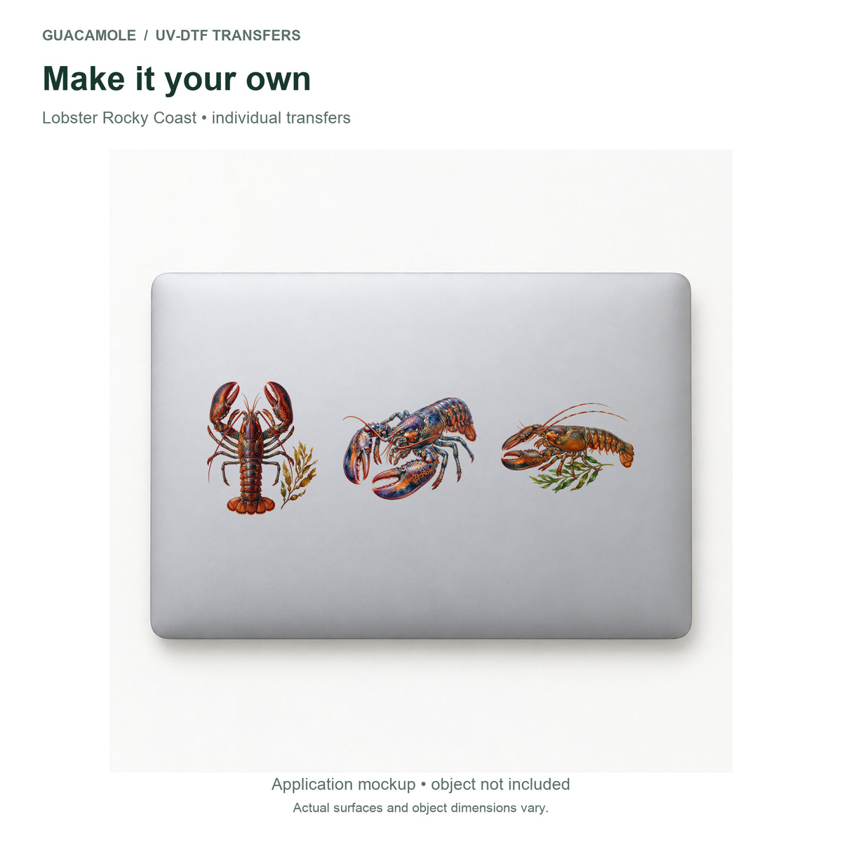 Lobster Rocky Coast — Three designs on a laptop