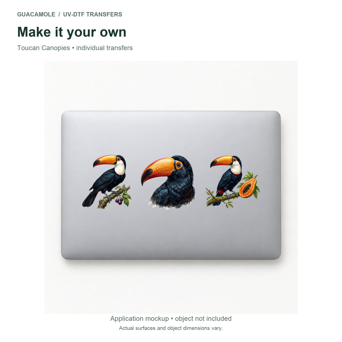 Toucan Canopies — Three designs on a laptop