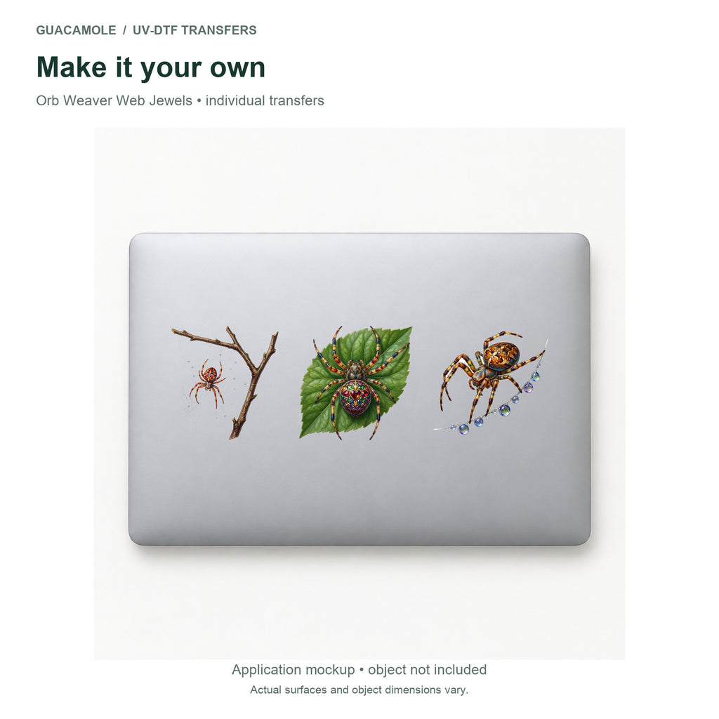 Orb Weaver Web Jewels — Three designs on a laptop
