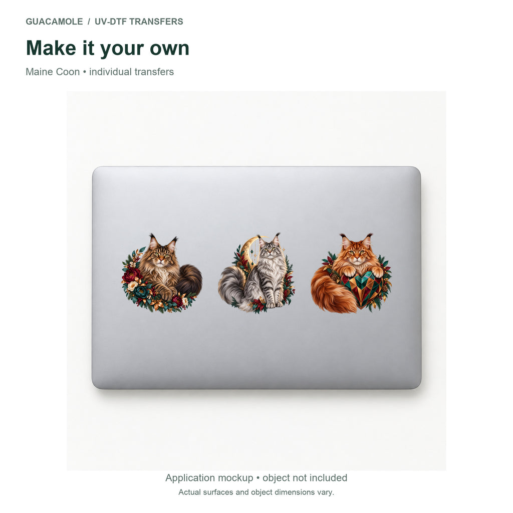 Maine Coon — Three designs on a laptop