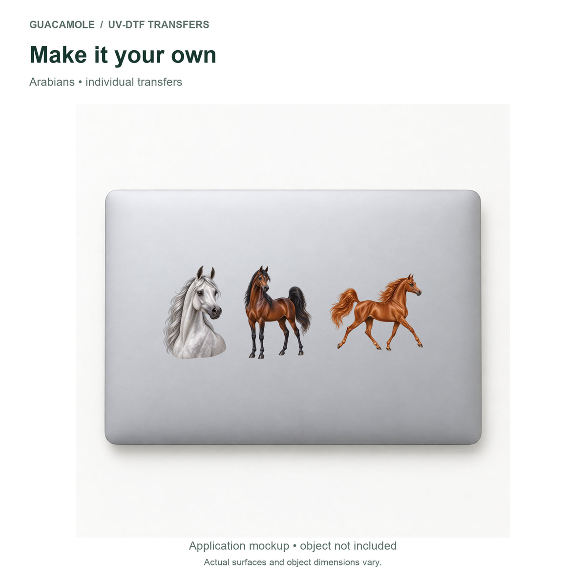Arabians — Three designs on a laptop