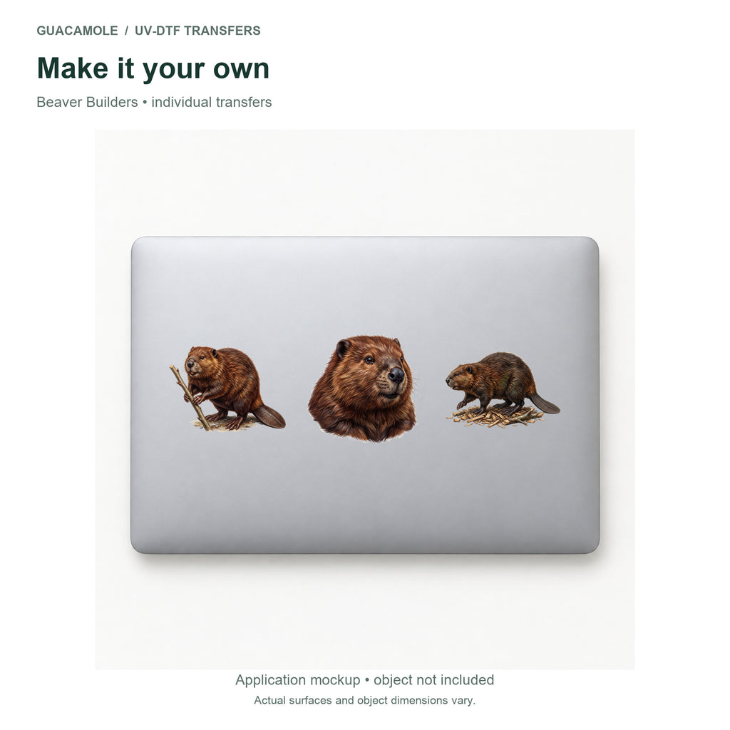 Beaver Builders — Three designs on a laptop