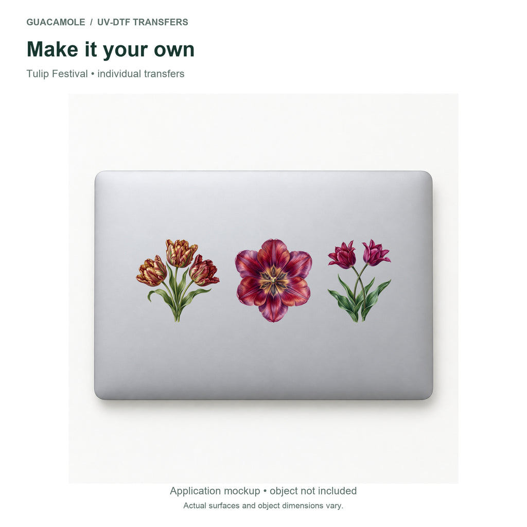 Tulip Festival — Three designs on a laptop