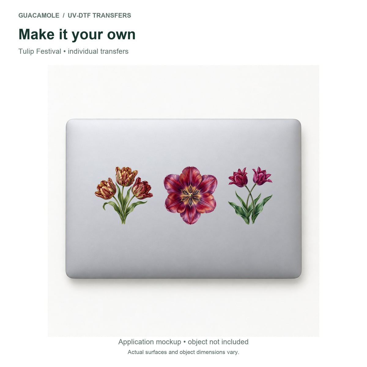 Tulip Festival — Three designs on a laptop