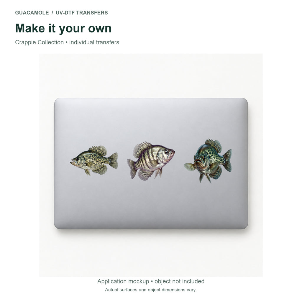 Crappie Collection — Three designs on a laptop
