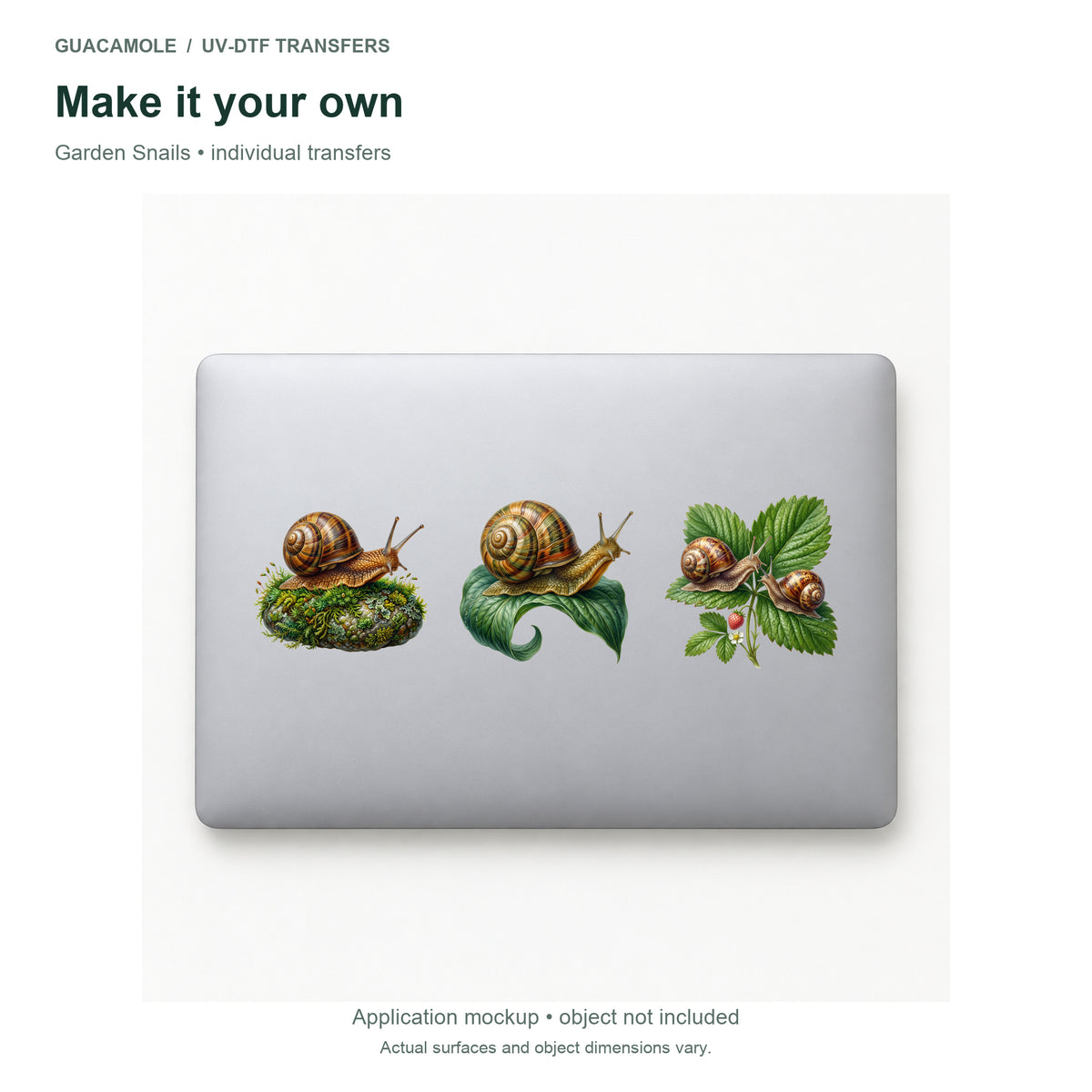 Garden Snails — Three designs on a laptop