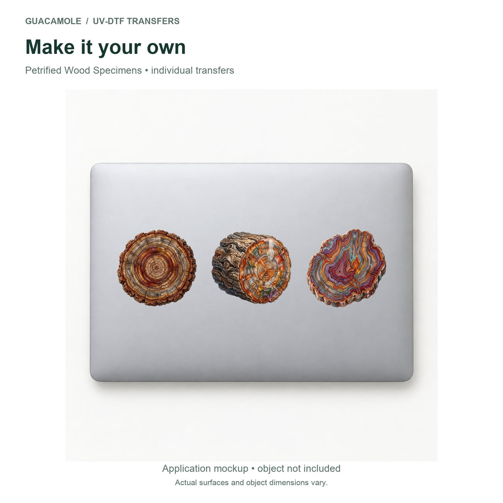Petrified Wood Specimens — Three designs on a laptop