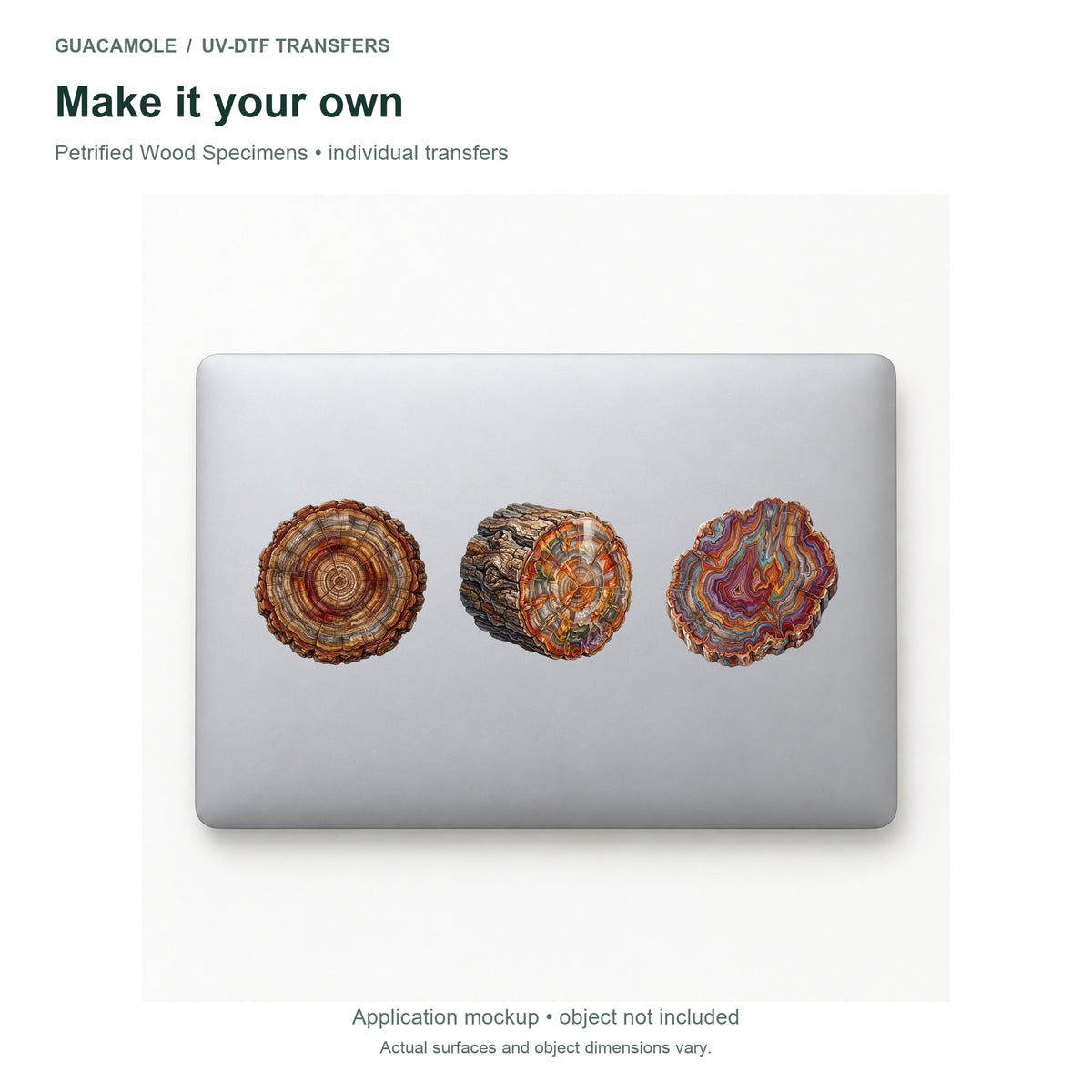 Petrified Wood Specimens — Three designs on a laptop