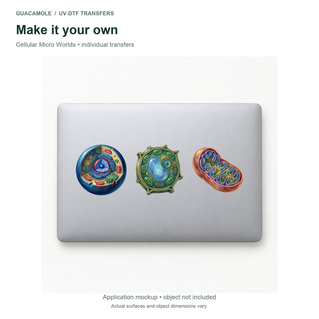 Cellular Micro Worlds — Three designs on a laptop