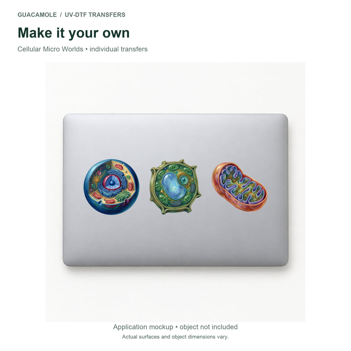 Cellular Micro Worlds — Three designs on a laptop