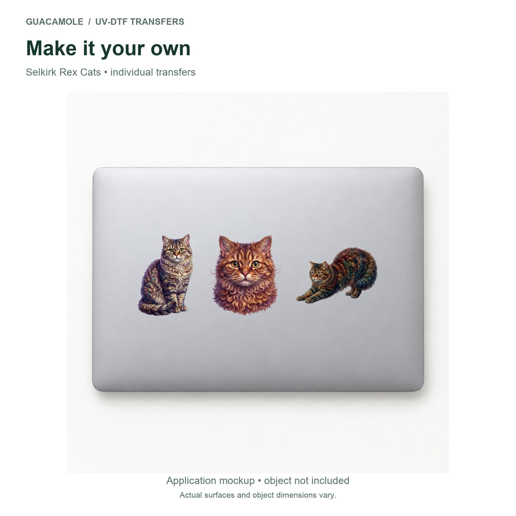 Selkirk Rex Cats — Three designs on a laptop