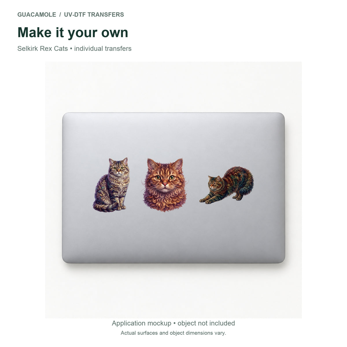 Selkirk Rex Cats — Three designs on a laptop