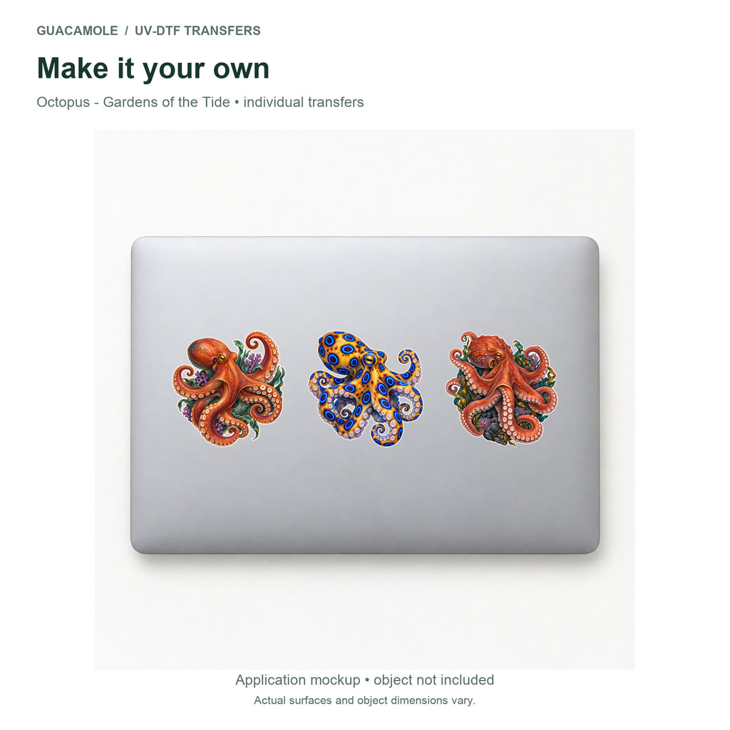 Octopus - Gardens of the Tide — Three designs on a laptop