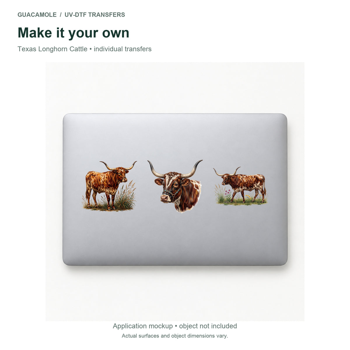 Texas Longhorn Cattle — Three designs on a laptop