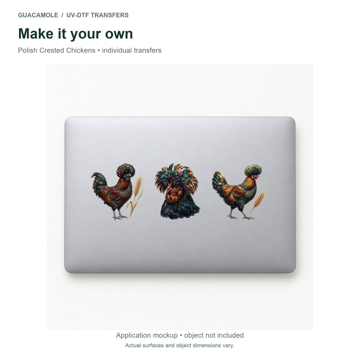 Polish Crested Chickens — Three designs on a laptop