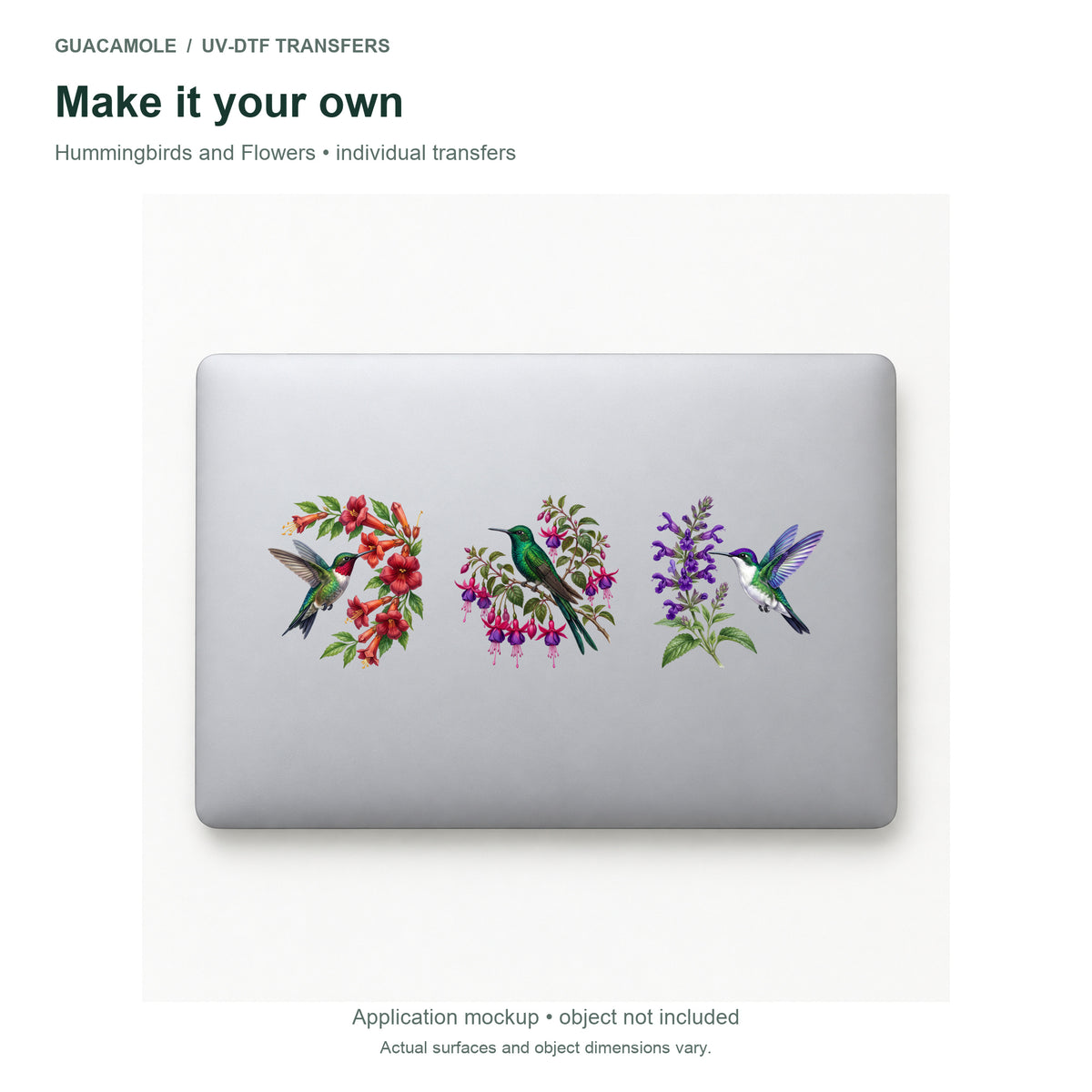 Hummingbirds and Flowers — Three designs on a laptop