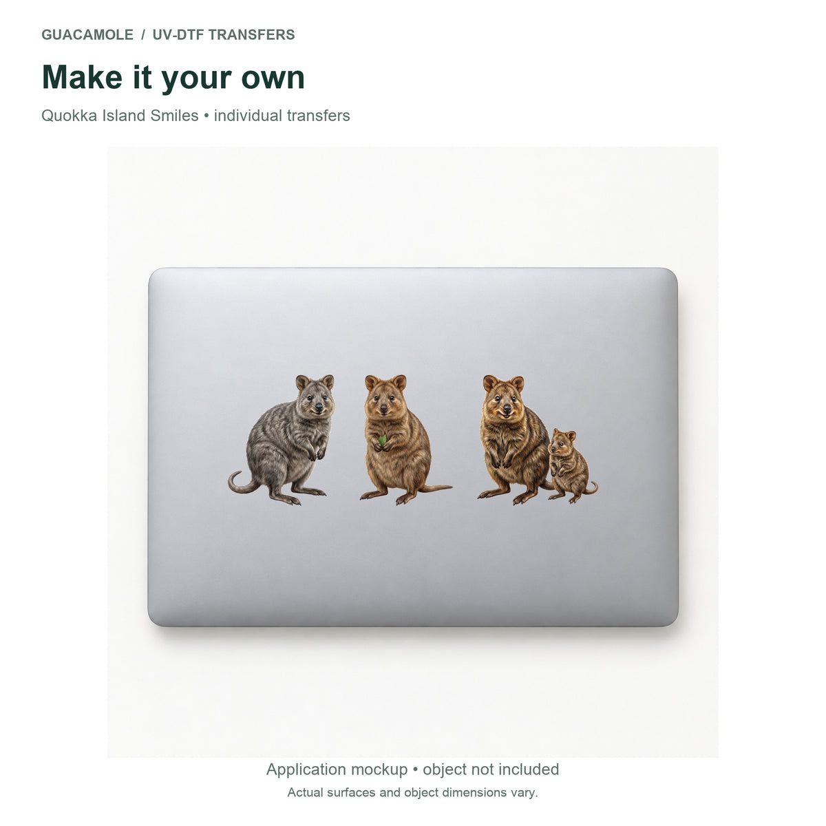 Quokka Island Smiles — Three designs on a laptop