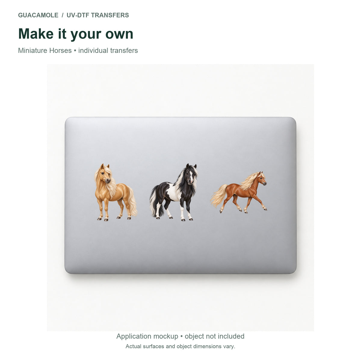Miniature Horses — Three designs on a laptop